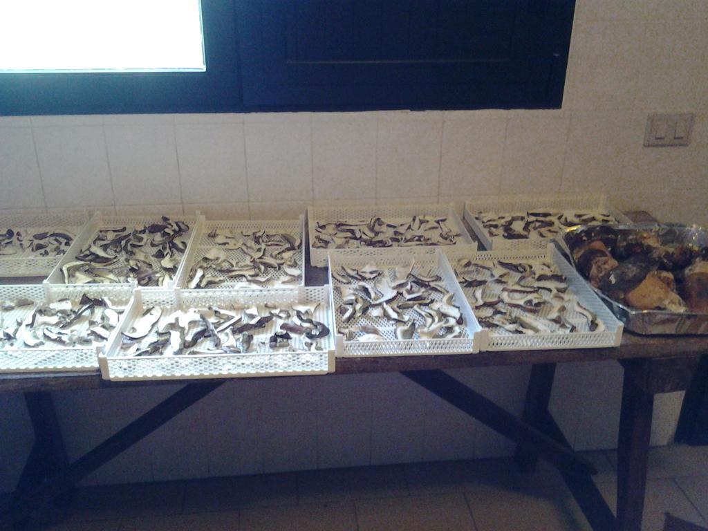 Agriturismo Ticci Seùlo Kültér fotó