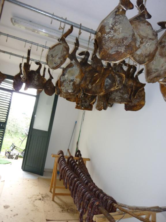 Agriturismo Ticci Seùlo Kültér fotó