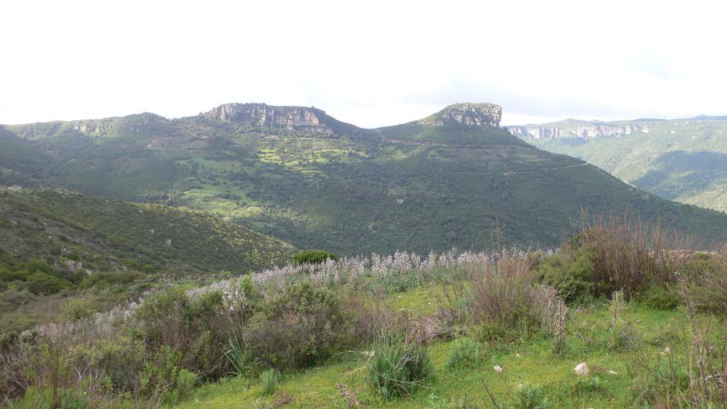 Agriturismo Ticci Seùlo Kültér fotó