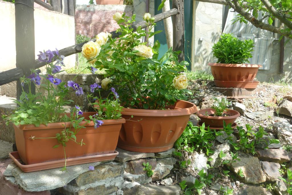 Agriturismo Ticci Seùlo Szoba fotó